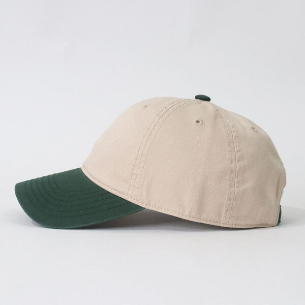 Star Cactus baseball hat